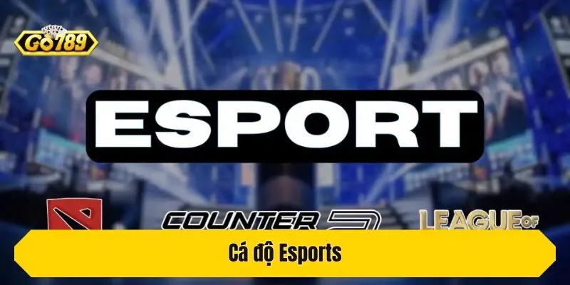 Cá độ Esports 
