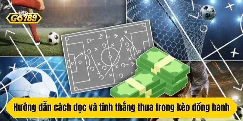 Hướng dẫn cách đọc và tính thắng thua trong kèo đồng banh